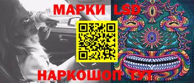 шишки Гусь-Хрустальный