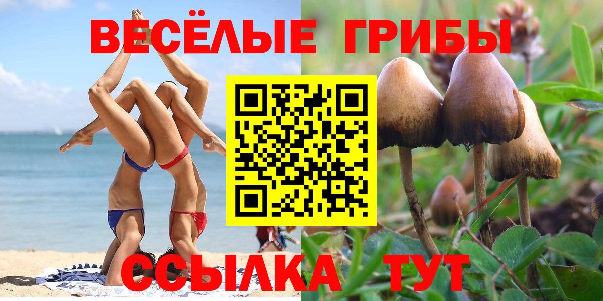 Псилоцибиновые грибы мухоморы Миллерово